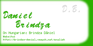 daniel brindza business card